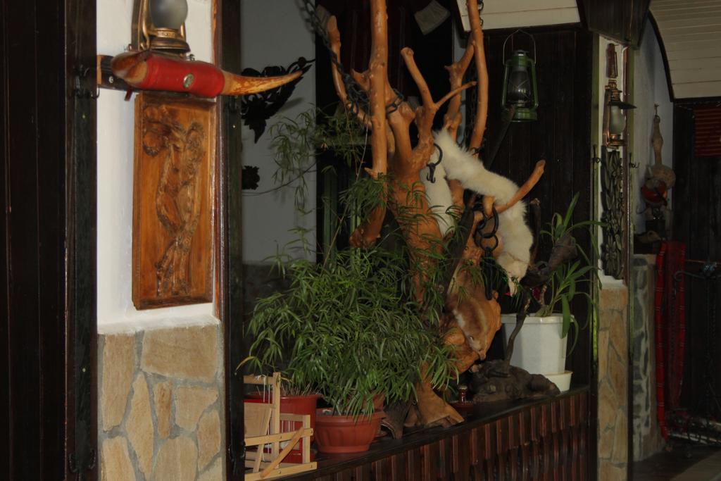桑丹斯基 切纳瑞特旅馆酒店 外观 照片